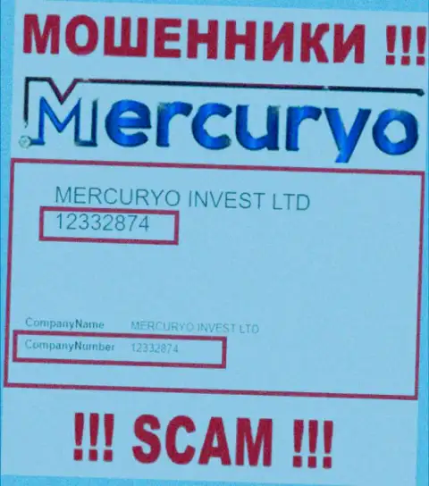 Рег. номер преступно действующей компании Меркурио: 12332874