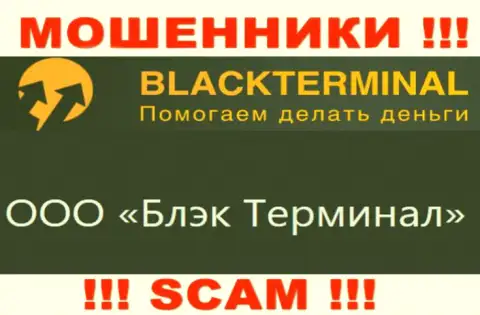 На официальном сайте BlackTerminal сообщается, что юридическое лицо организации - ООО Блэк Терминал