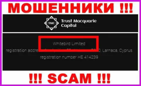 Регистрационный номер, принадлежащий противозаконно действующей организации Whitebird Limited: HE 414239
