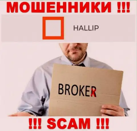Направление деятельности кидал Hallip Com - это Broker, но имейте ввиду это обман !!!