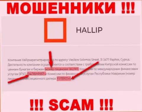 Не связывайтесь с мошенниками Hallip - существованием лицензионного документа, на сайте, затягивают клиентов