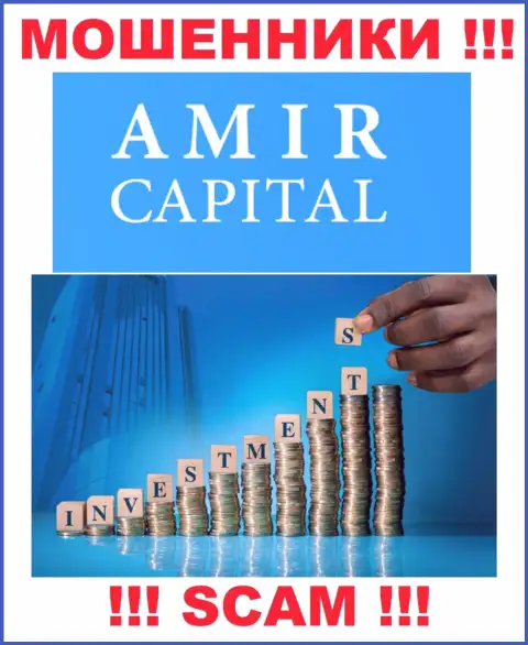 Не отправляйте денежные активы в Amir Capital, направление деятельности которых - Инвестиции