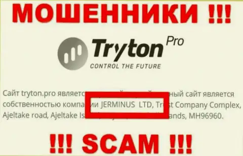 Сведения об юр лице Тритон Про - это компания Джерминус Лтд
