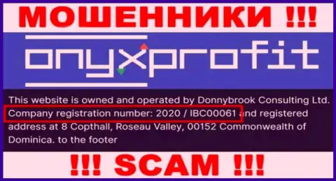 Номер регистрации, который принадлежит организации Оникс Профит - 2020 / IBC00061