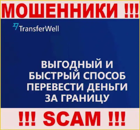 Не верьте, что деятельность TransferWell в сфере Платежная система легальна