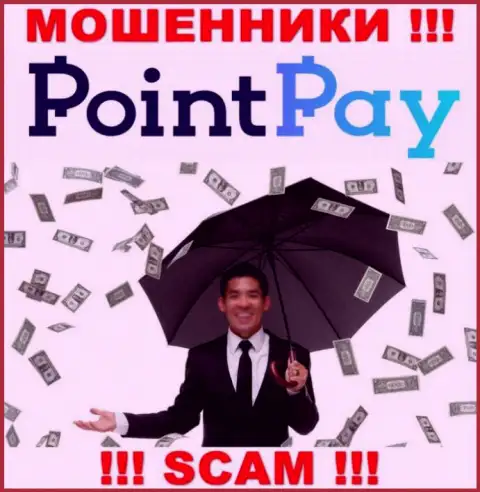 Не попадитесь в ловушку internet-мошенников Point Pay LLC, денежные активы не вернете назад