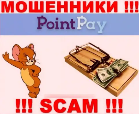 Point Pay - это ВОРЫ, не доверяйте им, если вдруг станут предлагать пополнить депозит