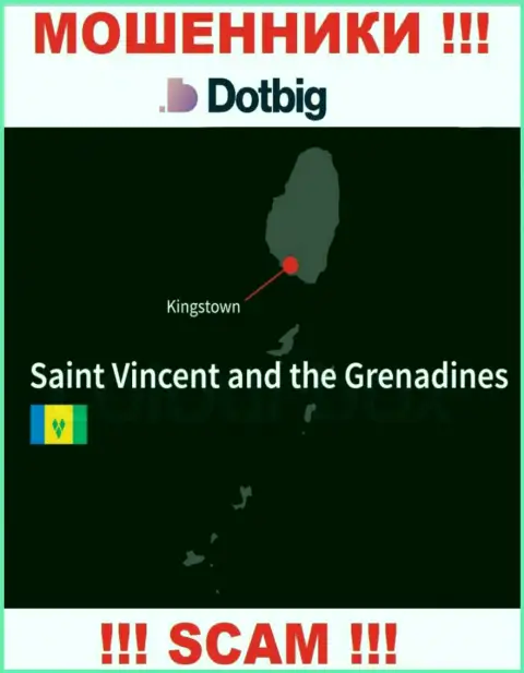 Dot Big имеют офшорную регистрацию: Kingstown, St. Vincent and the Grenadines - будьте крайне бдительны, мошенники
