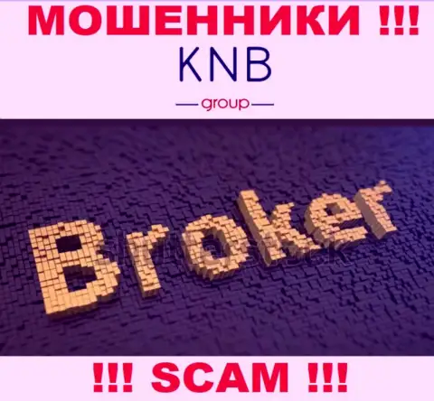 Область деятельности мошеннической компании КНБ Групп - это Брокер