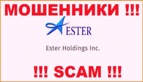 Сведения о юридическом лице интернет-мошенников Ester Holdings