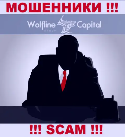 Не теряйте свое время на поиски инфы о непосредственном руководстве Wolfline Capital, абсолютно все сведения скрыты