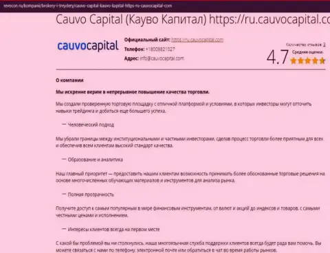 Обзорная статья об условиях дилинговой организации Cauvo Capital на онлайн-сервисе ревокон ру