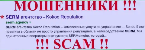 SERM Agency - ВРЕДЯТ своим же клиентам !!! Kokoc Reputation